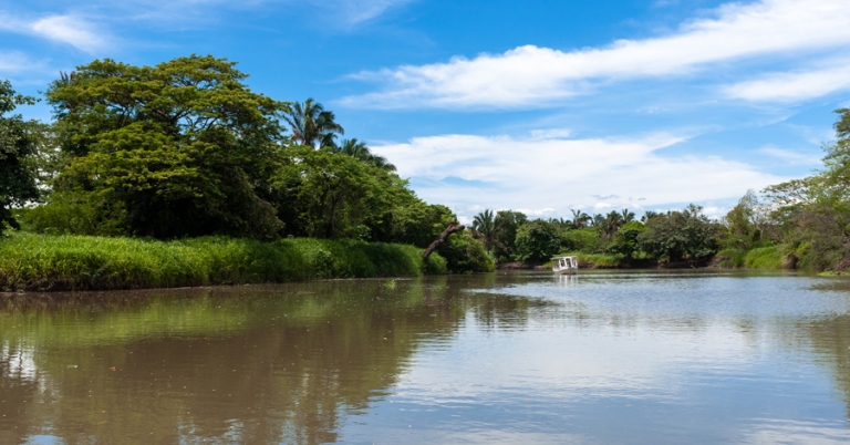 Boat ride along the Sarapiquí River