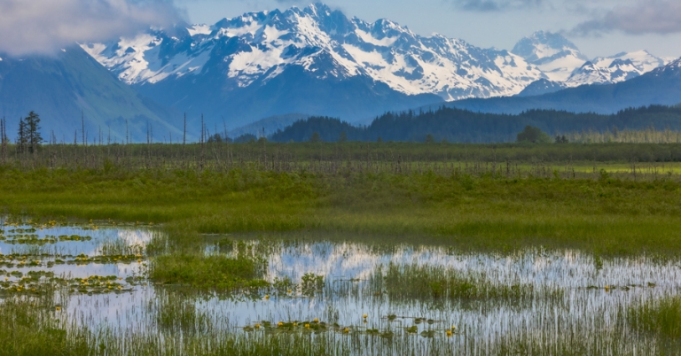 Alaskan wetland and mountain landscapes