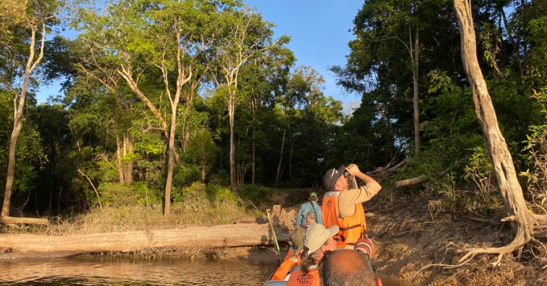 Birding by boat in the Amazon