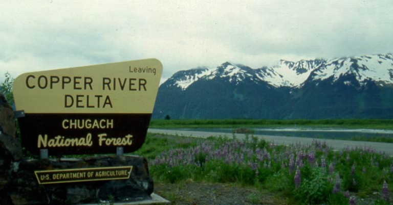 Copper River Delta visitors sign with views of flowers and mountains in the background