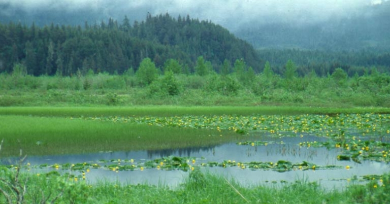 View of water with mountains in the distance