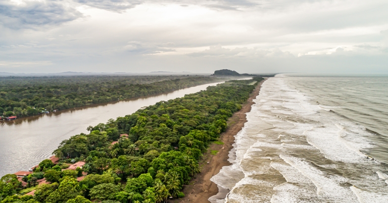 Aerial view of Tortuguero National Park's coast line