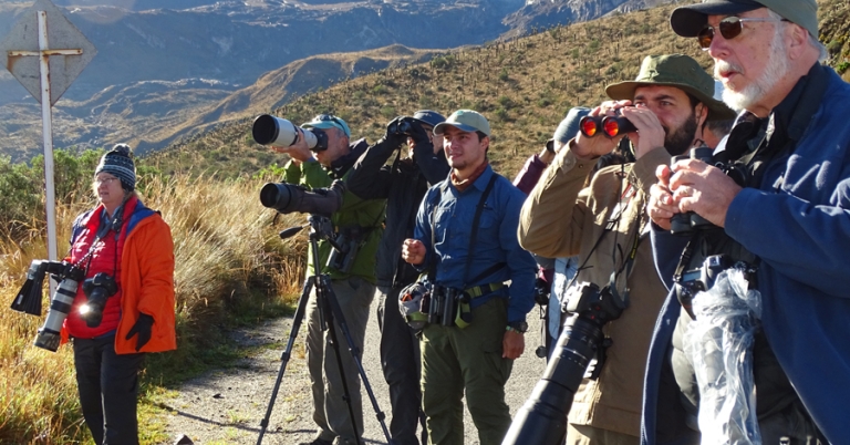 Group of people bird watching in the mountains of Colombia