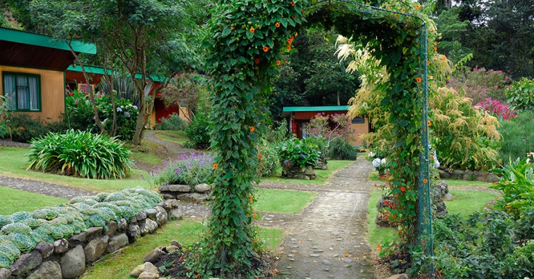 A stone pathway leads through a flower trellis with more plants and bungalow-style buildings in the background