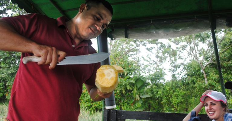 A seated person smiles and watches as a standing person uses a large knife to demonstrate trimming a pineapple fruit