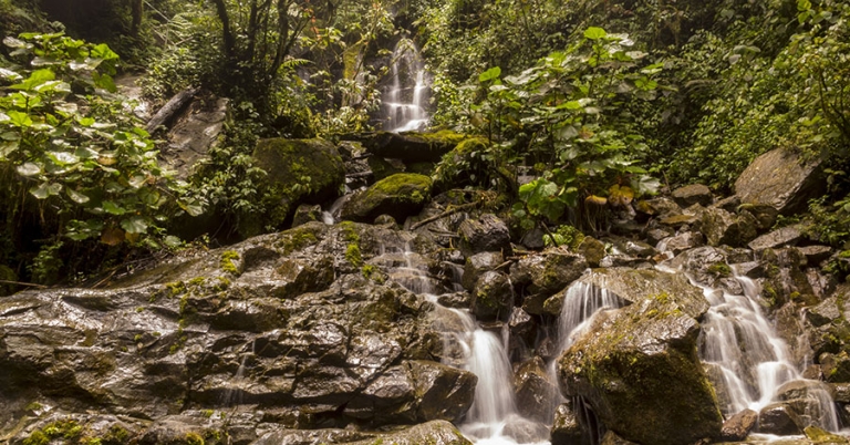 A river flows over a series of small, rocky waterfalls surrounded by forest