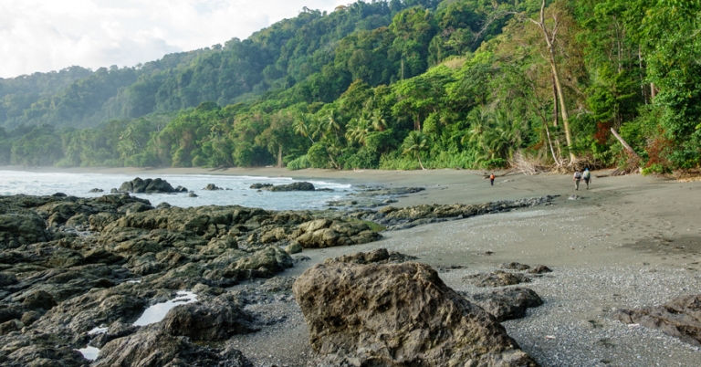 Views of the beach in Corcovado National Park