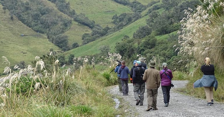 A group of birders walking down a trail