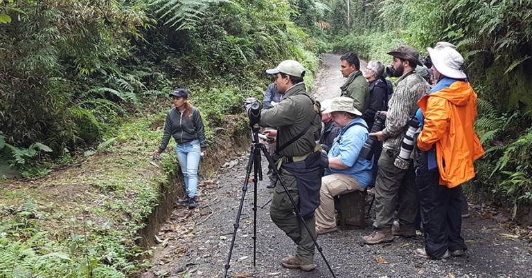 A group of about a dozen people with cameras and a scope stand on a gravel path looking offtrail into the bushes