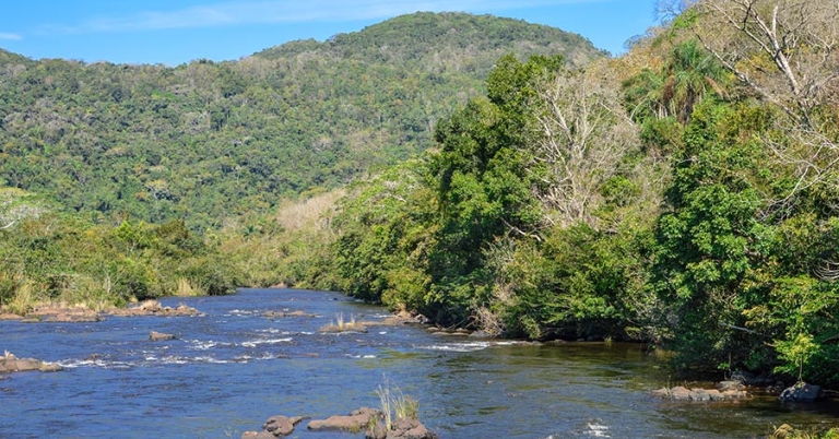 River with low, forested mountains in background