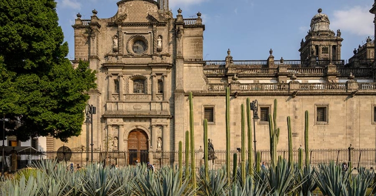 The exterior facade of a cathedral with a cactus garden in the foreground