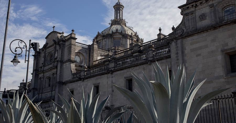 An angled view of the exterior facade of a cathedral with succulents in the foreground