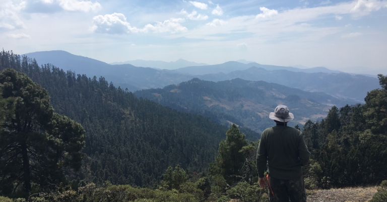 Views at Sierra Chincua