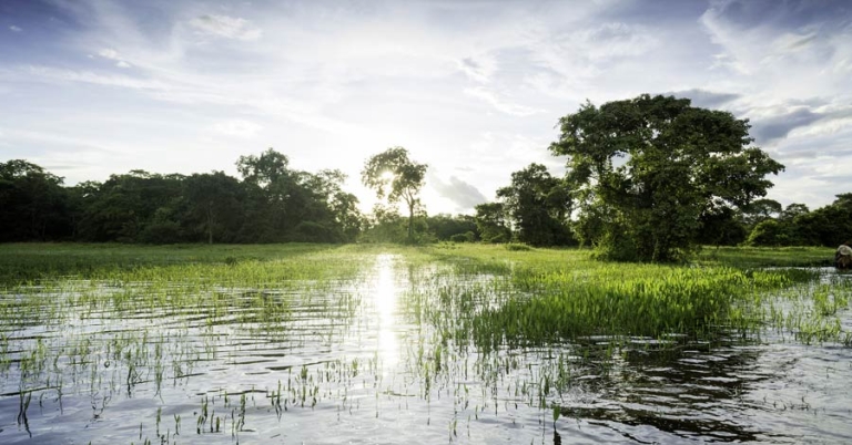 views of the wetlands with the sun shining on the water