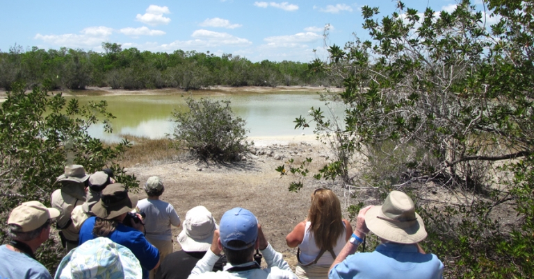 Group of people birding in Zapata, Cuba