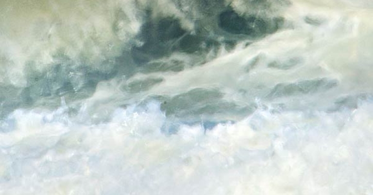A group of seals lay on a sandy beach with a large crashing ocean wave in the background