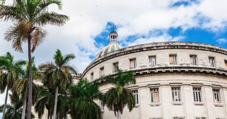 view of capitol building and palm trees
