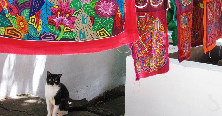 A cat sits under several colorful mola textiles hanging on display