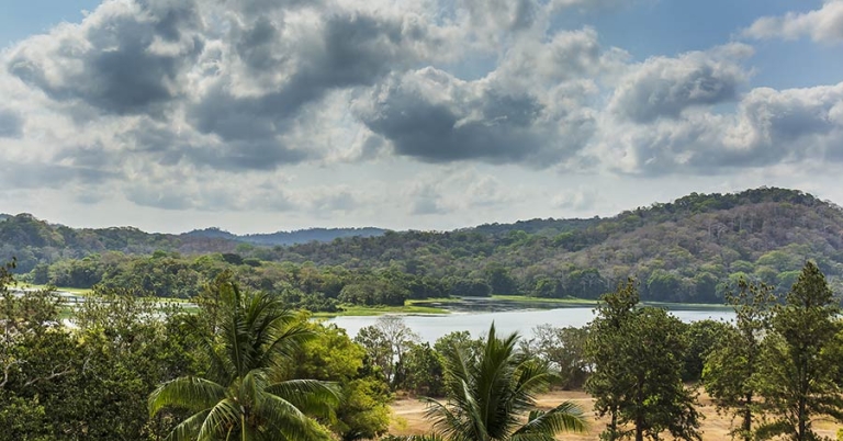 Landscape with palm trees and grass on the near bank of a wide river and tree-covered hills on the far bank