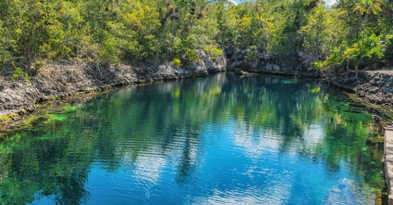 Natural body of water surrounded by forest