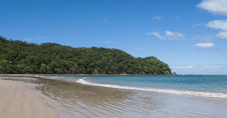 A sandy beach with calm ocean and trees in the background