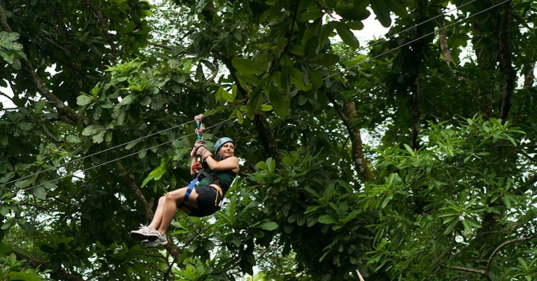 A young person zip lines through the rainforest canopy