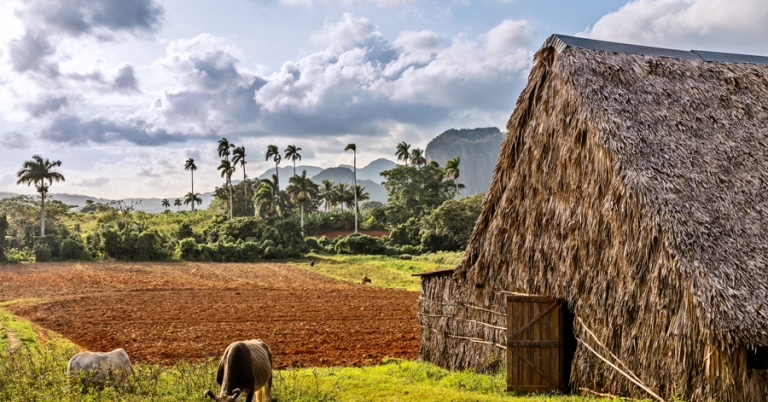 Landscapes of a tobacco farm in Viñales, Cuba