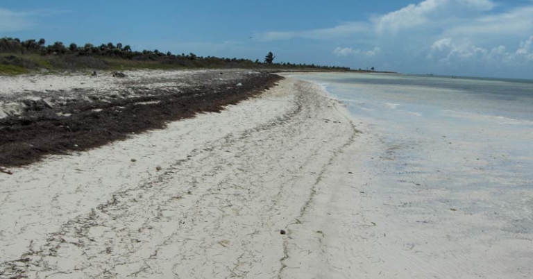 view of sandy beach and shoreline