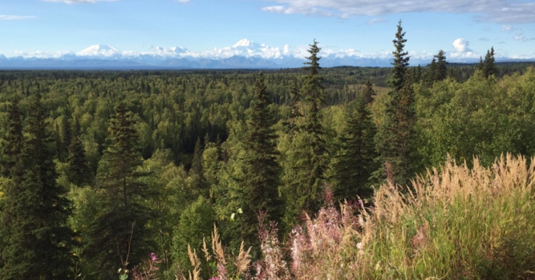 Views of Talkeetna, Alaska
