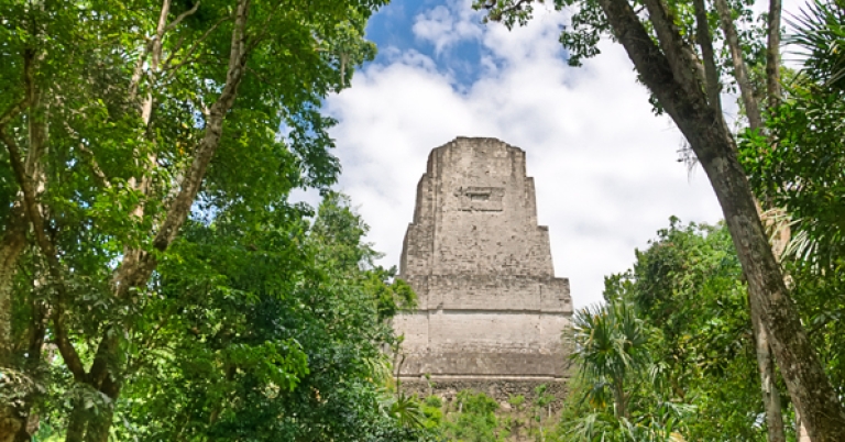 Mayan ruins of Tikal nestled in the forest