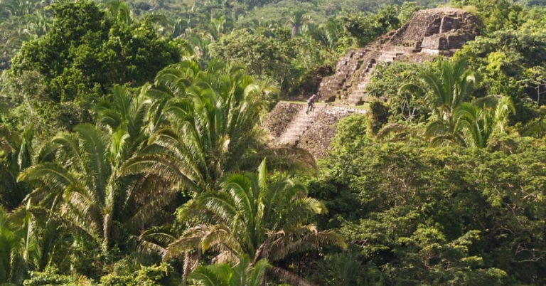 A person climbs the steps of a limestone Maya pyramid partially shrouded by rainforest