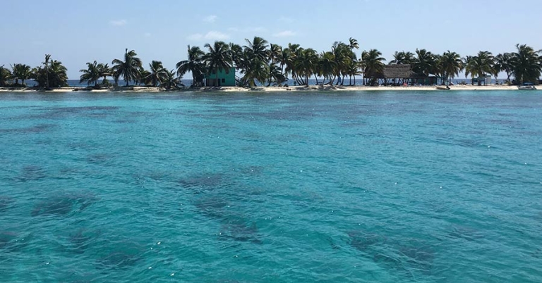 Shallow water and a thin strip of beach in the distance with palm trees and a few small buildings
