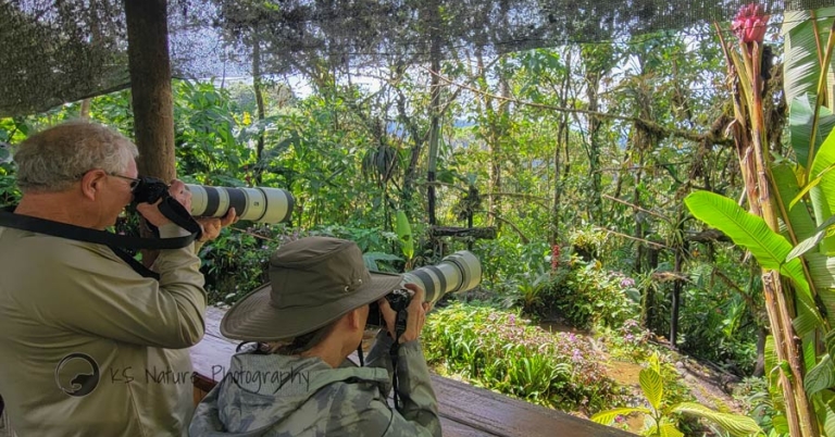 Two people point cameras at a clearing with vegetation