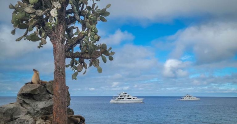 A sea lion rests on a rock under an Opuntia cactus in the foreground, with two small boats in the ocean in the background