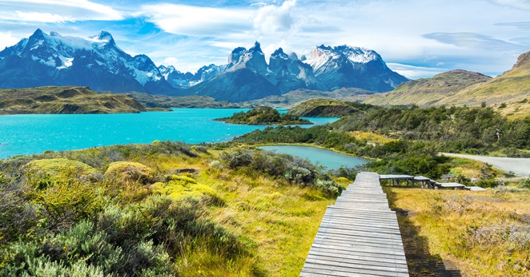 A boardwalk overlooking a lake