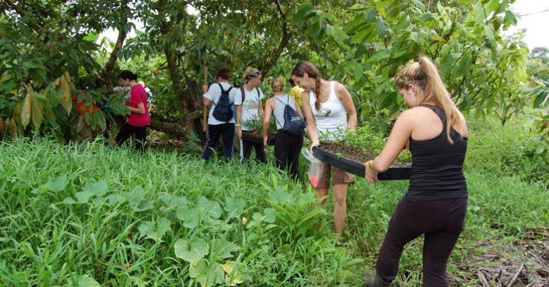 Reforestation project