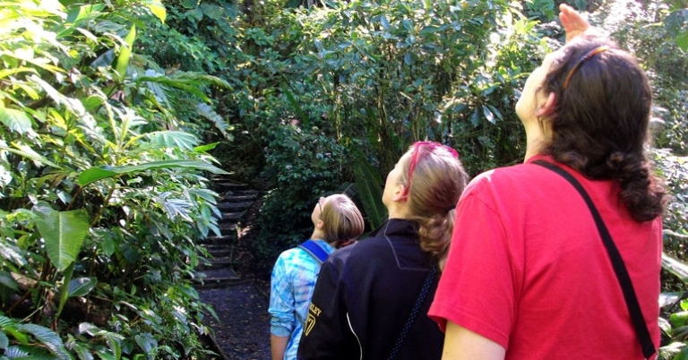Students on a Rainforest hike 