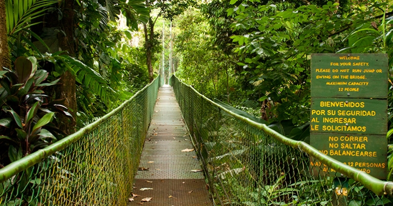 Selva Verde Lodge Bridge