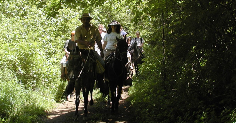 Horseback riding in Costa Rica