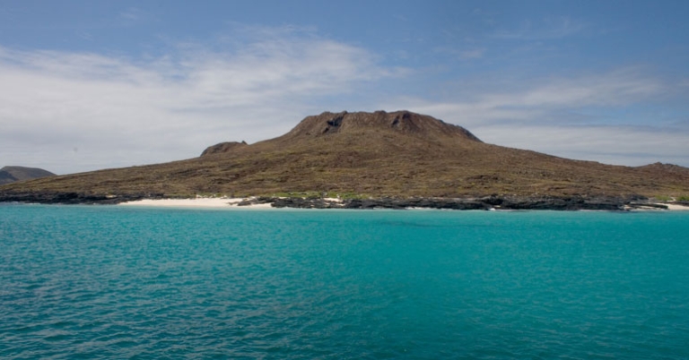 Chinese Hat (Sombrero Chino)