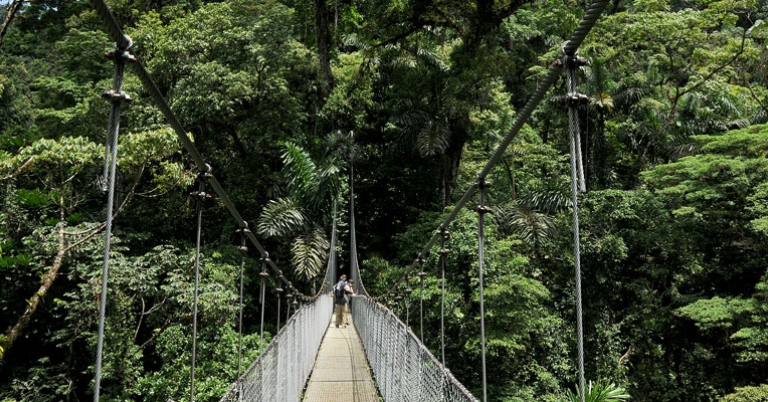 Arenal Hanging Bridges