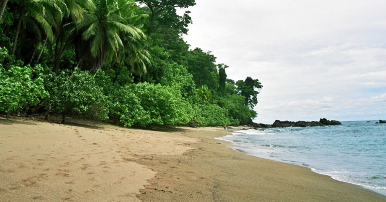 Osa Peninsula beach