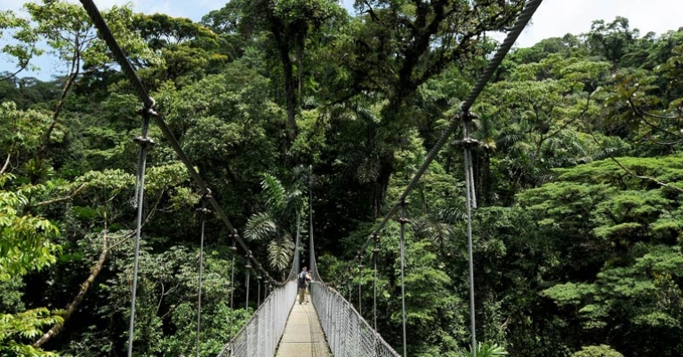 Arenal Hanging Bridges