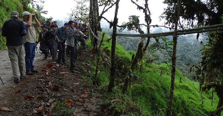 Birding at Refugio Paz de las Aves