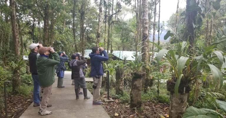Birding around San Isidro Lodge