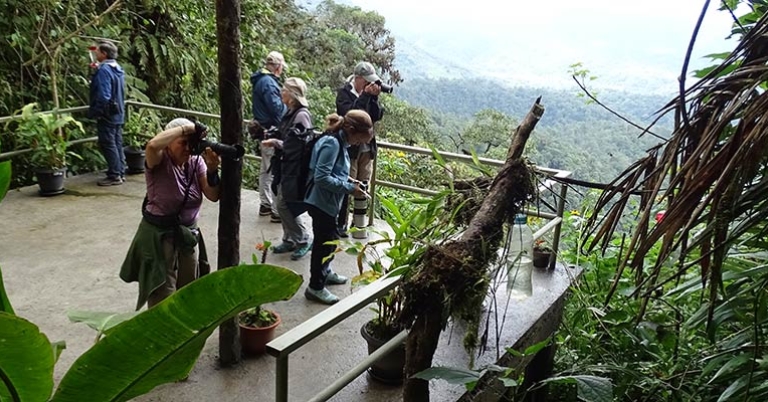 Birding at San Tadeo