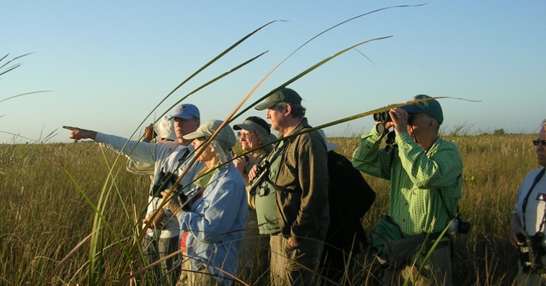 Birding in Cuba