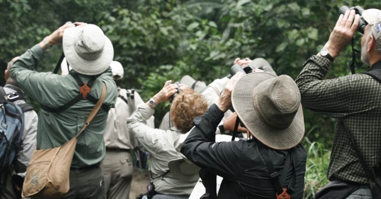 Birding in Panama