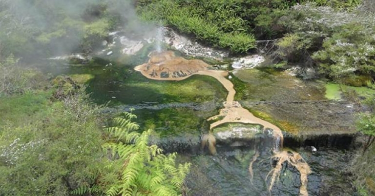 Bird's Nest Terrace, Waimangu Volcanic Valley