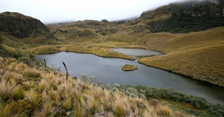 Cajas National Park